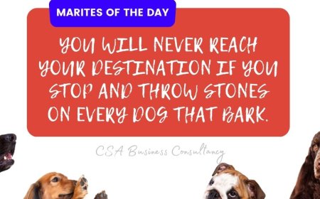 MARITESNEWS  YOU WILL NEVER REACH YOUR DESTINATION